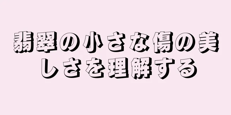 翡翠の小さな傷の美しさを理解する