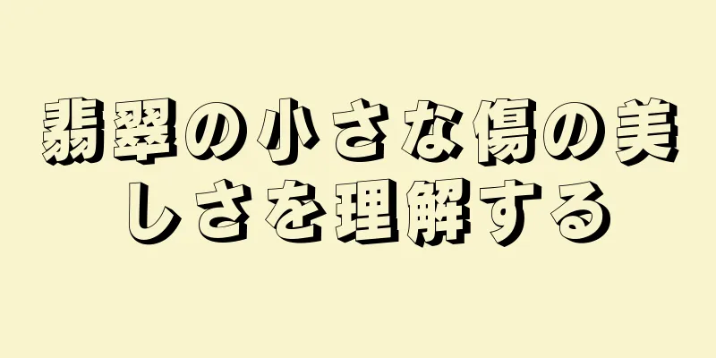翡翠の小さな傷の美しさを理解する