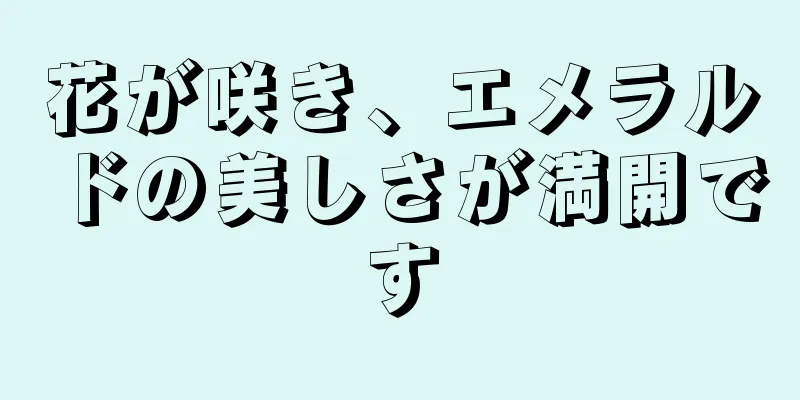 花が咲き、エメラルドの美しさが満開です