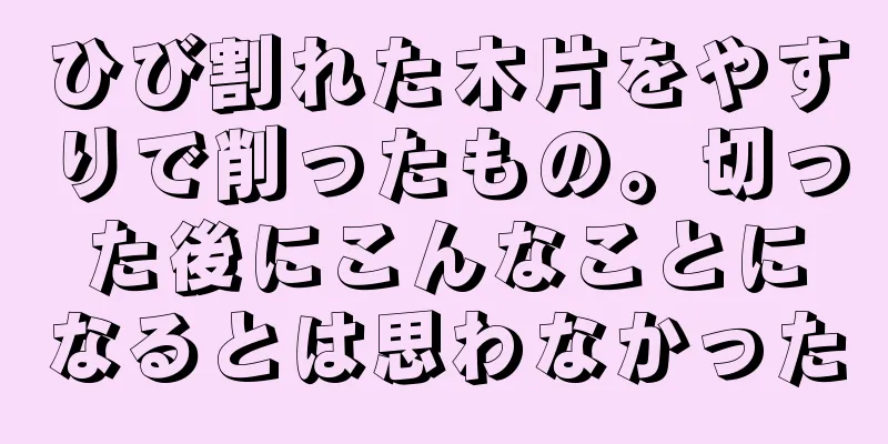 ひび割れた木片をやすりで削ったもの。切った後にこんなことになるとは思わなかった