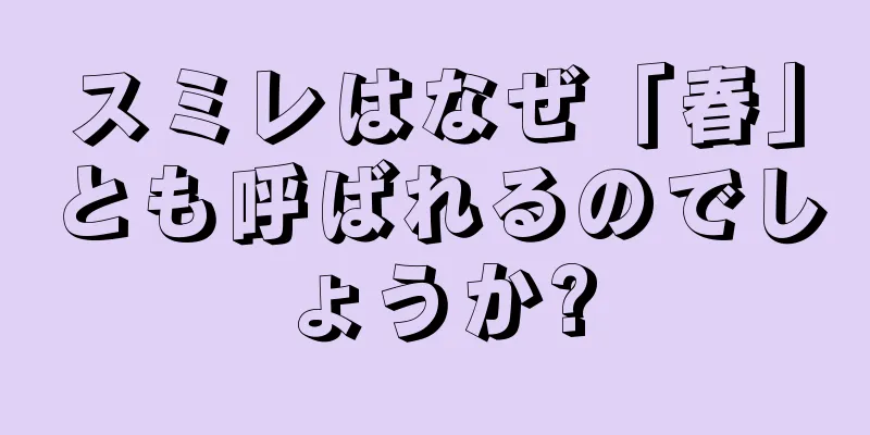 スミレはなぜ「春」とも呼ばれるのでしょうか?