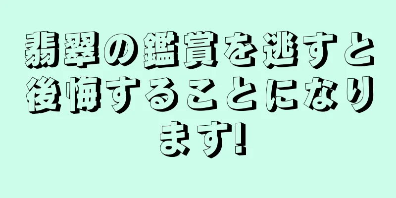 翡翠の鑑賞を逃すと後悔することになります!