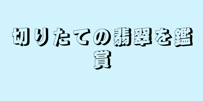 切りたての翡翠を鑑賞