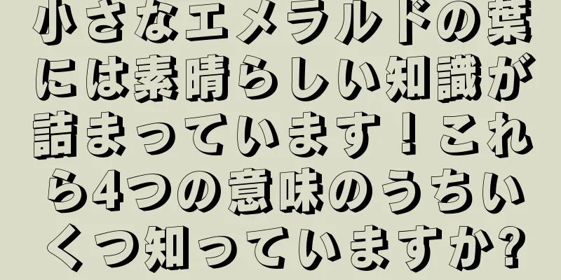 小さなエメラルドの葉には素晴らしい知識が詰まっています！これら4つの意味のうちいくつ知っていますか?