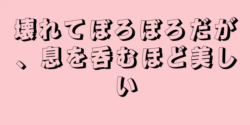 壊れてぼろぼろだが、息を呑むほど美しい