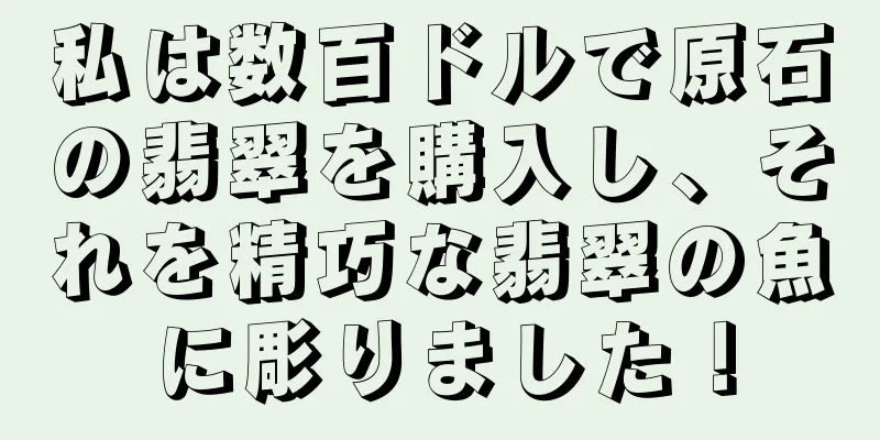 私は数百ドルで原石の翡翠を購入し、それを精巧な翡翠の魚に彫りました！