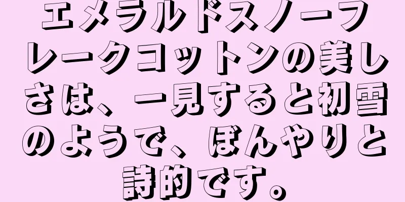 エメラルドスノーフレークコットンの美しさは、一見すると初雪のようで、ぼんやりと詩的です。