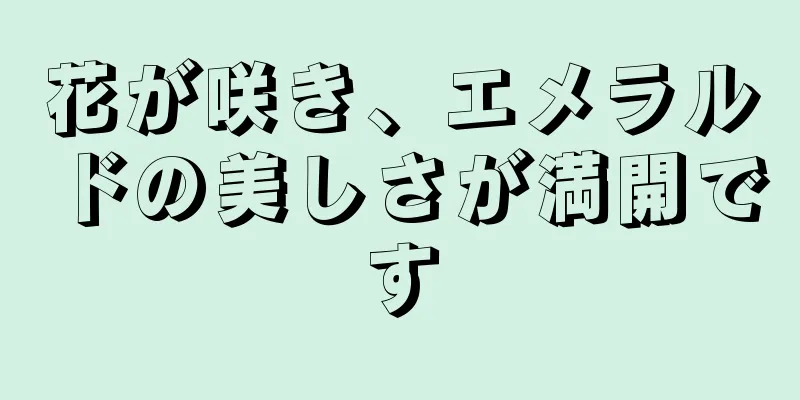 花が咲き、エメラルドの美しさが満開です