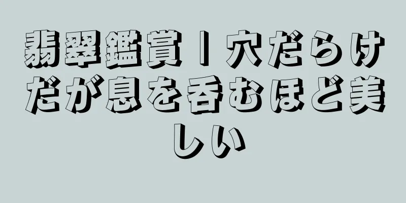 翡翠鑑賞 | 穴だらけだが息を呑むほど美しい