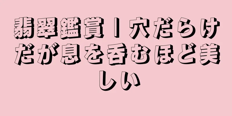 翡翠鑑賞 | 穴だらけだが息を呑むほど美しい