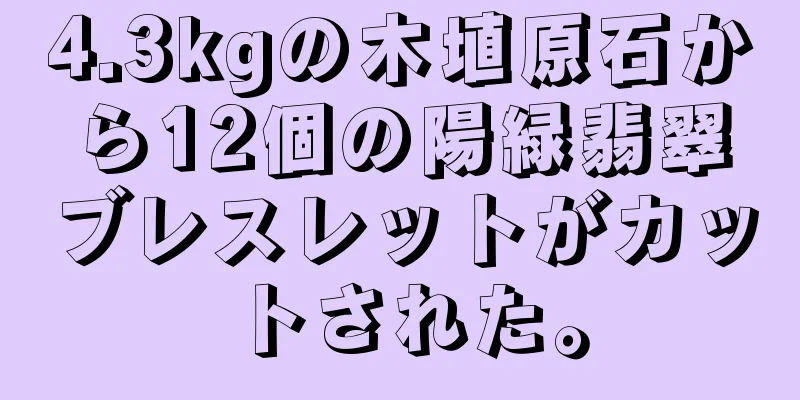 4.3kgの木埴原石から12個の陽緑翡翠ブレスレットがカットされた。