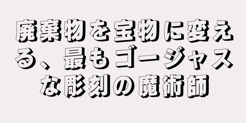 廃棄物を宝物に変える、最もゴージャスな彫刻の魔術師