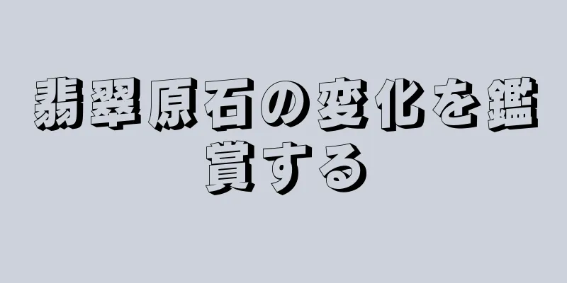 翡翠原石の変化を鑑賞する