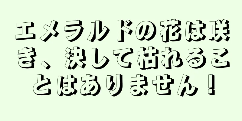 エメラルドの花は咲き、決して枯れることはありません！
