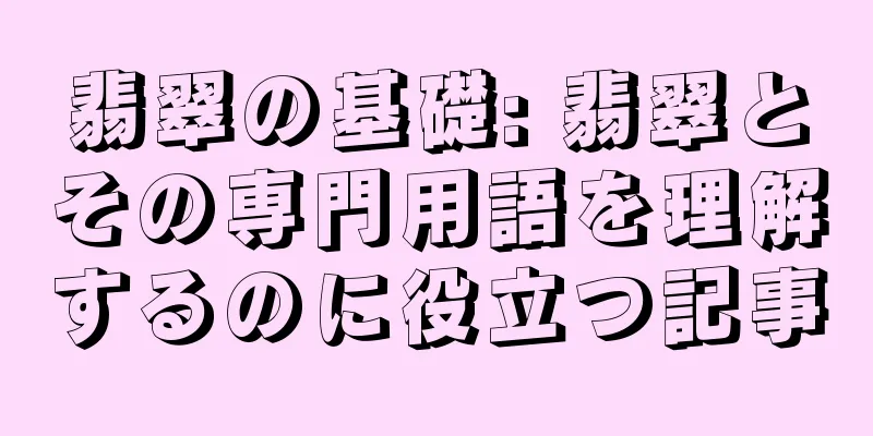 翡翠の基礎: 翡翠とその専門用語を理解するのに役立つ記事