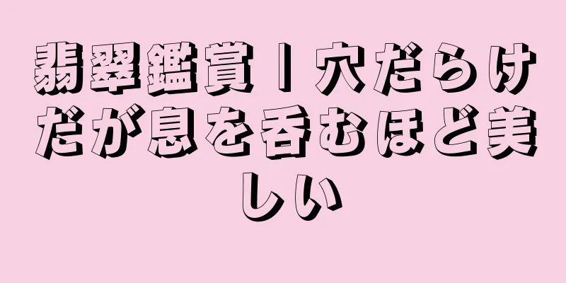 翡翠鑑賞 | 穴だらけだが息を呑むほど美しい