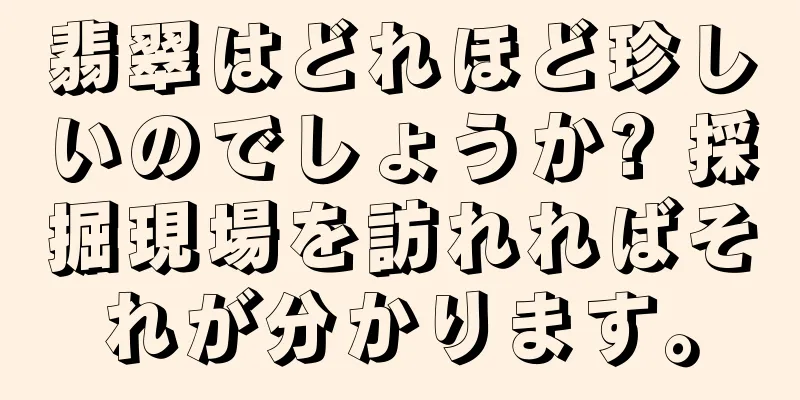 翡翠はどれほど珍しいのでしょうか? 採掘現場を訪れればそれが分かります。