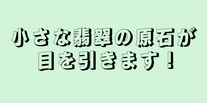 小さな翡翠の原石が目を引きます！
