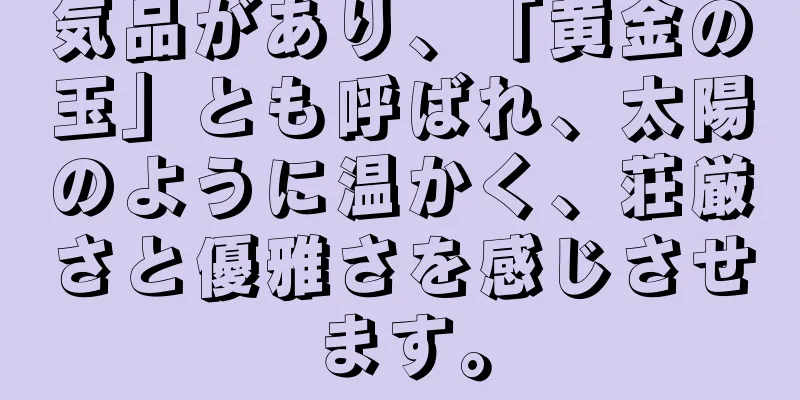 気品があり、「黄金の玉」とも呼ばれ、太陽のように温かく、荘厳さと優雅さを感じさせます。