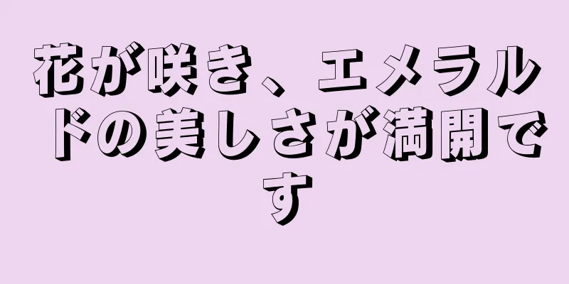 花が咲き、エメラルドの美しさが満開です