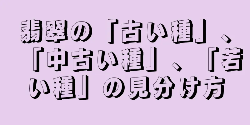 翡翠の「古い種」、「中古い種」、「若い種」の見分け方