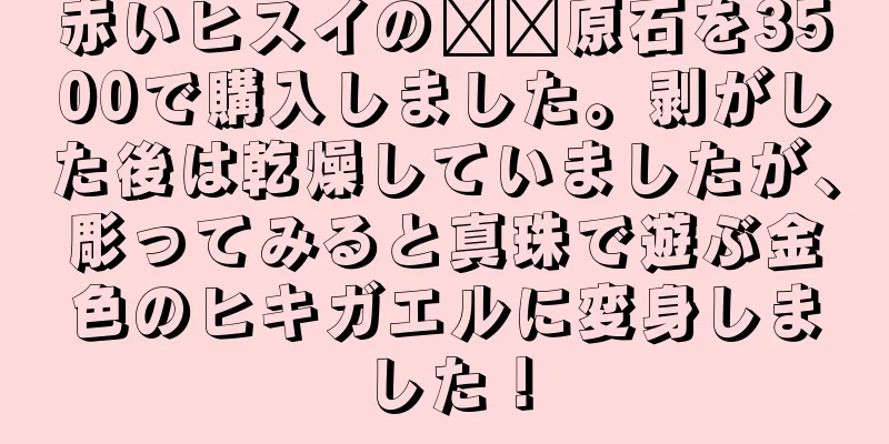 赤いヒスイの​​原石を3500で購入しました。剥がした後は乾燥していましたが、彫ってみると真珠で遊ぶ金色のヒキガエルに変身しました！