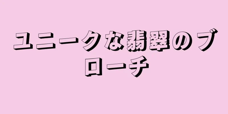 ユニークな翡翠のブローチ