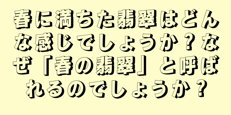春に満ちた翡翠はどんな感じでしょうか？なぜ「春の翡翠」と呼ばれるのでしょうか？