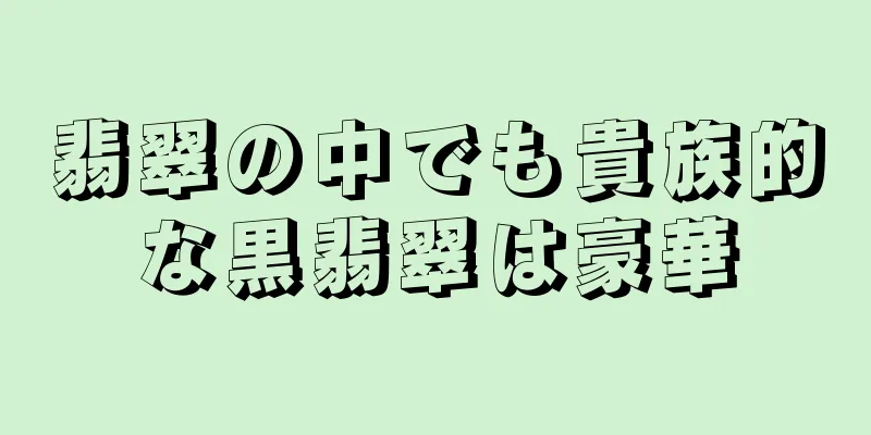 翡翠の中でも貴族的な黒翡翠は豪華