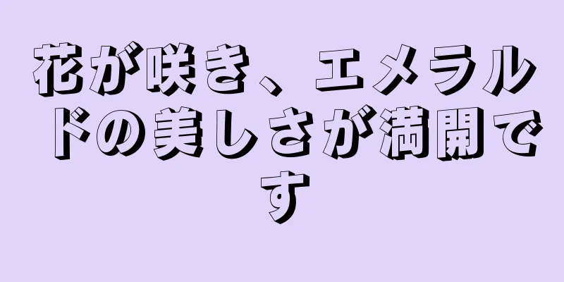 花が咲き、エメラルドの美しさが満開です