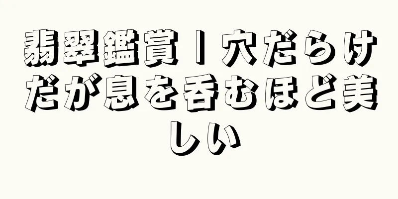 翡翠鑑賞 | 穴だらけだが息を呑むほど美しい