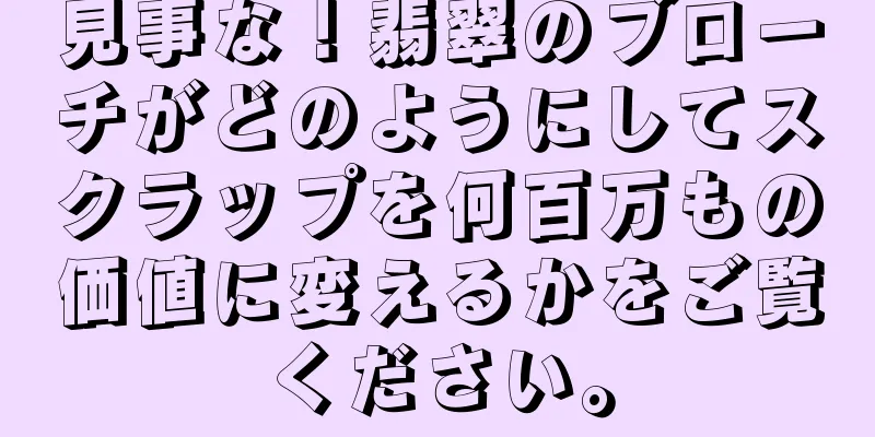見事な！翡翠のブローチがどのようにしてスクラップを何百万もの価値に変えるかをご覧ください。