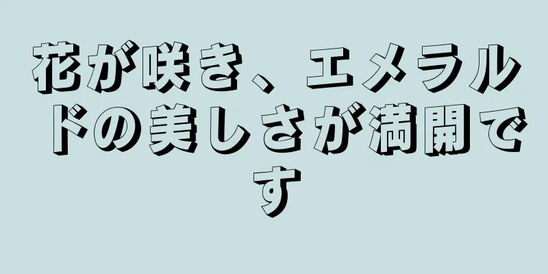 花が咲き、エメラルドの美しさが満開です