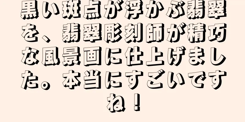 黒い斑点が浮かぶ翡翠を、翡翠彫刻師が精巧な風景画に仕上げました。本当にすごいですね！