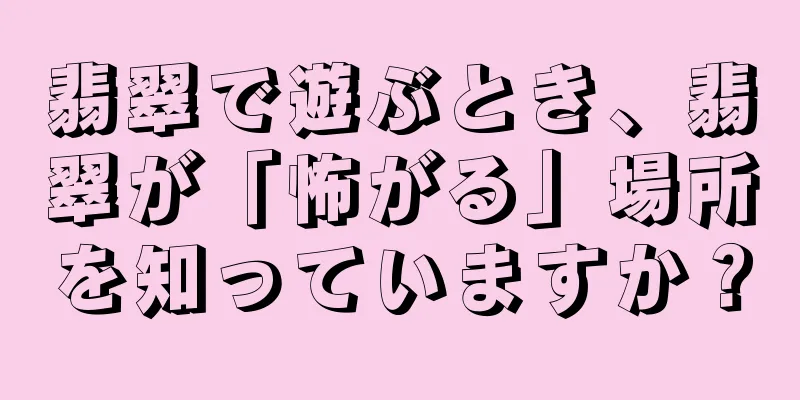 翡翠で遊ぶとき、翡翠が「怖がる」場所を知っていますか？