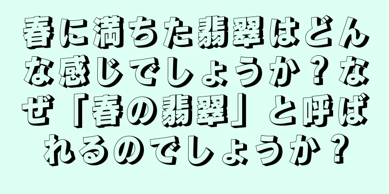 春に満ちた翡翠はどんな感じでしょうか？なぜ「春の翡翠」と呼ばれるのでしょうか？