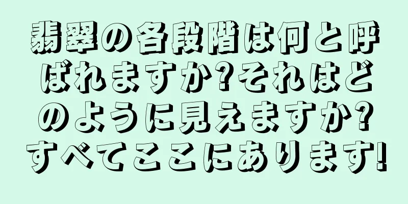 翡翠の各段階は何と呼ばれますか?それはどのように見えますか?すべてここにあります!