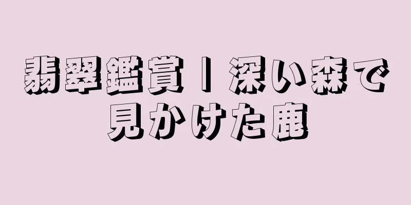 翡翠鑑賞 | 深い森で見かけた鹿
