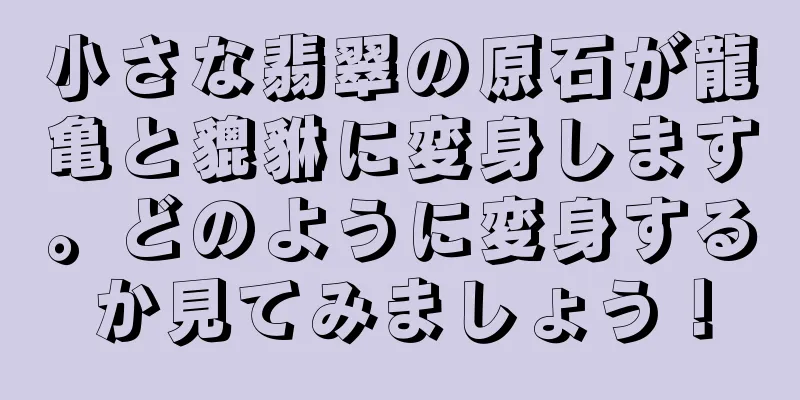 小さな翡翠の原石が龍亀と貔貅に変身します。どのように変身するか見てみましょう！