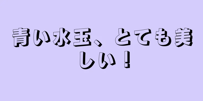青い水玉、とても美しい！