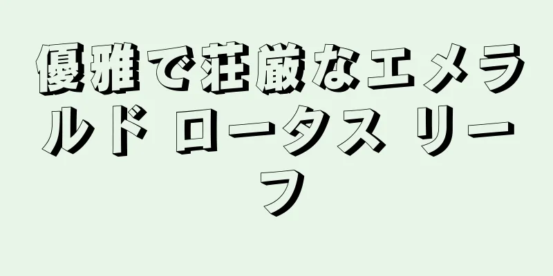 優雅で荘厳なエメラルド ロータス リーフ