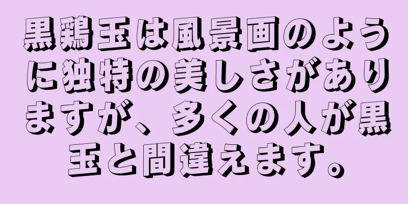 黒鶏玉は風景画のように独特の美しさがありますが、多くの人が黒玉と間違えます。