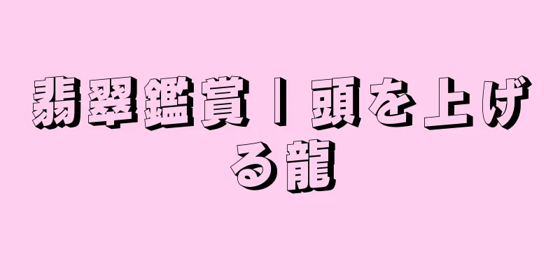 翡翠鑑賞 | 頭を上げる龍