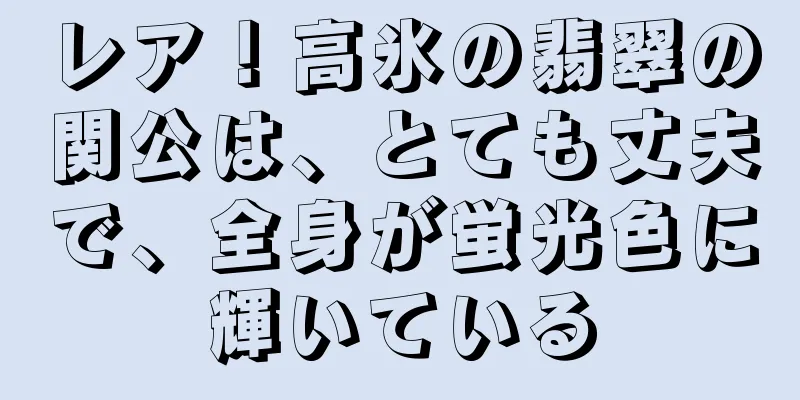 レア！高氷の翡翠の関公は、とても丈夫で、全身が蛍光色に輝いている