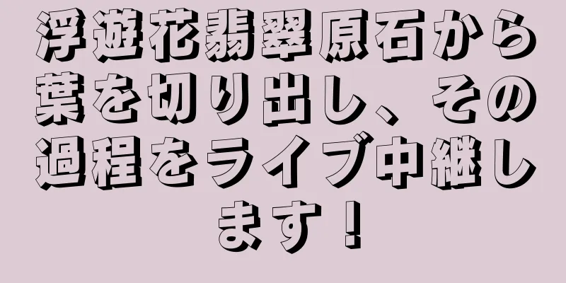 浮遊花翡翠原石から葉を切り出し、その過程をライブ中継します！