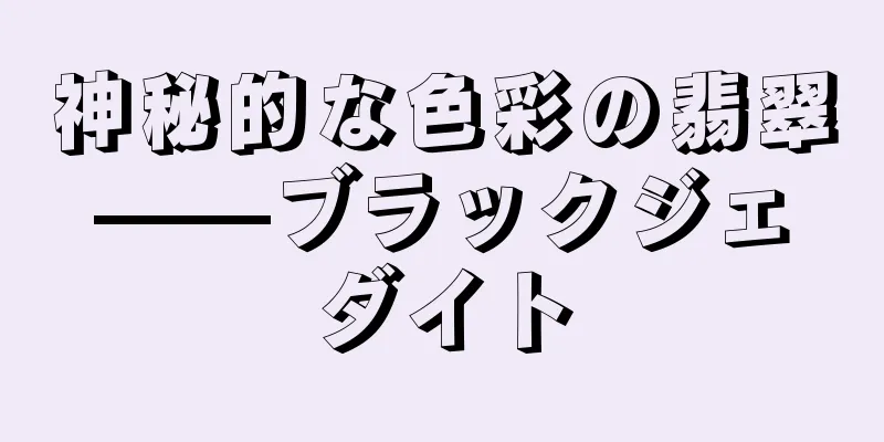 神秘的な色彩の翡翠——ブラックジェダイト