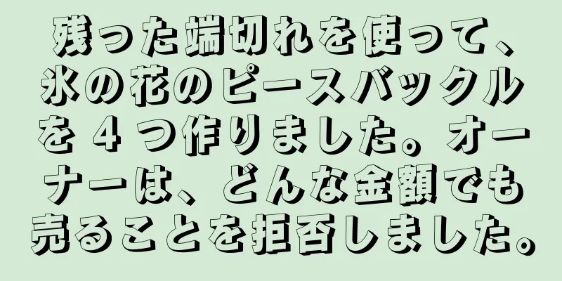 残った端切れを使って、氷の花のピースバックルを 4 つ作りました。オーナーは、どんな金額でも売ることを拒否しました。