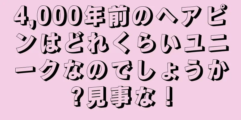 4,000年前のヘアピンはどれくらいユニークなのでしょうか?見事な！