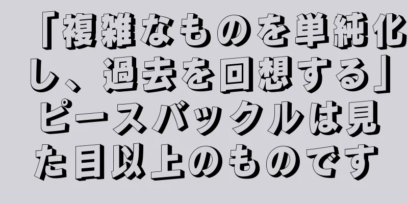 「複雑なものを単純化し、過去を回想する」ピースバックルは見た目以上のものです