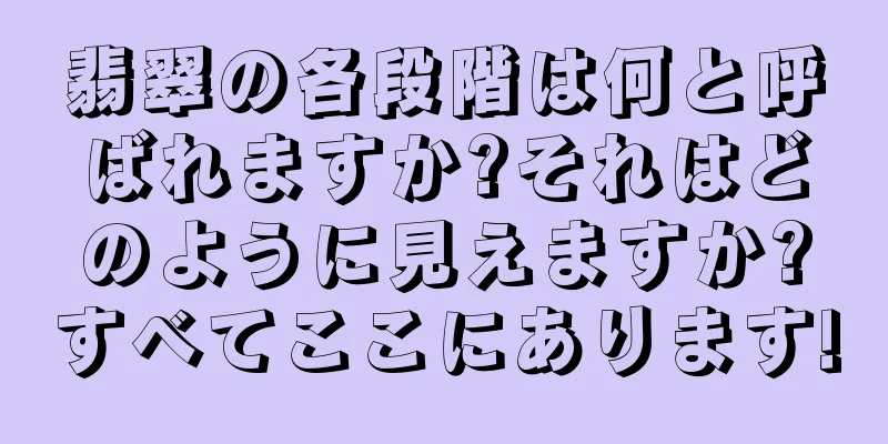 翡翠の各段階は何と呼ばれますか?それはどのように見えますか?すべてここにあります!